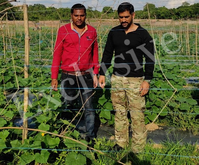 MS Dhoni Birthday MS Dhoni doing organic farming in 43 acres see picture of  farmhouse jagran special