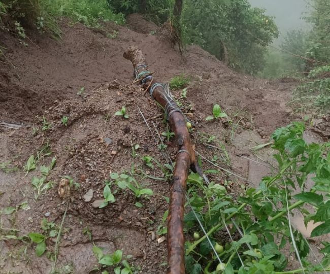 हिमाचल के सिरमौर में भारी बारिश से खेती नष्ट हुई