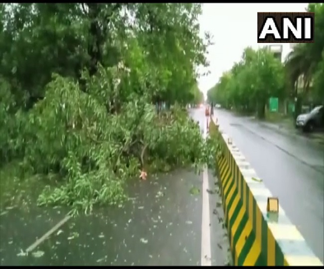 नोएडा में बारिश के कारण टूटे पेड़