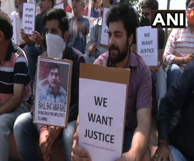 राहुल भट्ट की हत्या के विरोध में कश्मीरी पंडितों का प्रदर्शन जारी