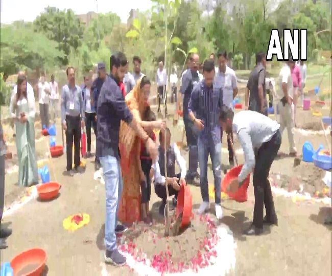 सीएम शिवराज सिंह ने किया पौधारोपण