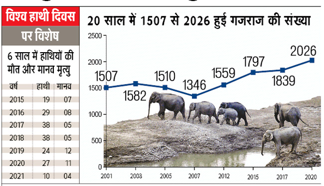 World Elephant Day: बीते 20 साल में उत्तराखंड में गजराज का कुनबा बढ़ा