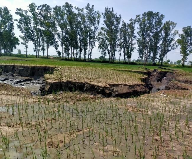 jagran