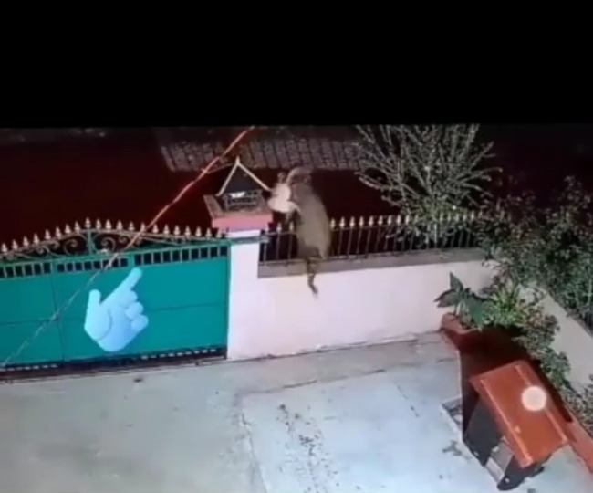 jagran