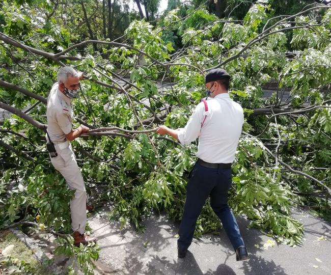 Chandigarh storm wails