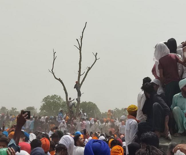 आम के इस पेड़ से ग्रामीणों का है विश्वास का रिश्ता, आपको जानना जानिए ...