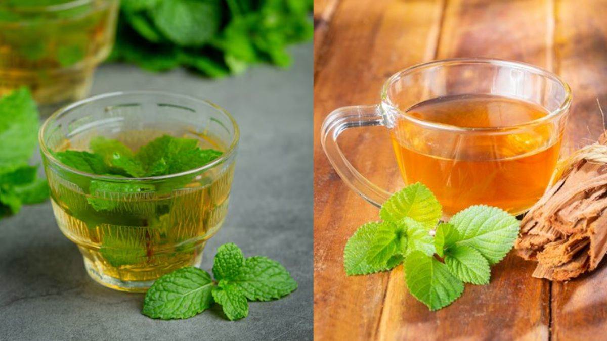 https://www.jagranimages.com/images/newimg/khanakhazana/01_2025-tulsi_kadha.jpg