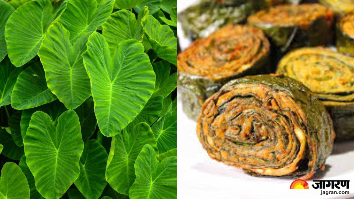 https://www.jagranimages.com/images/newimg/khanakhazana/06_2024-arbi_ke_patte_ke_pakode_recipe.jpg