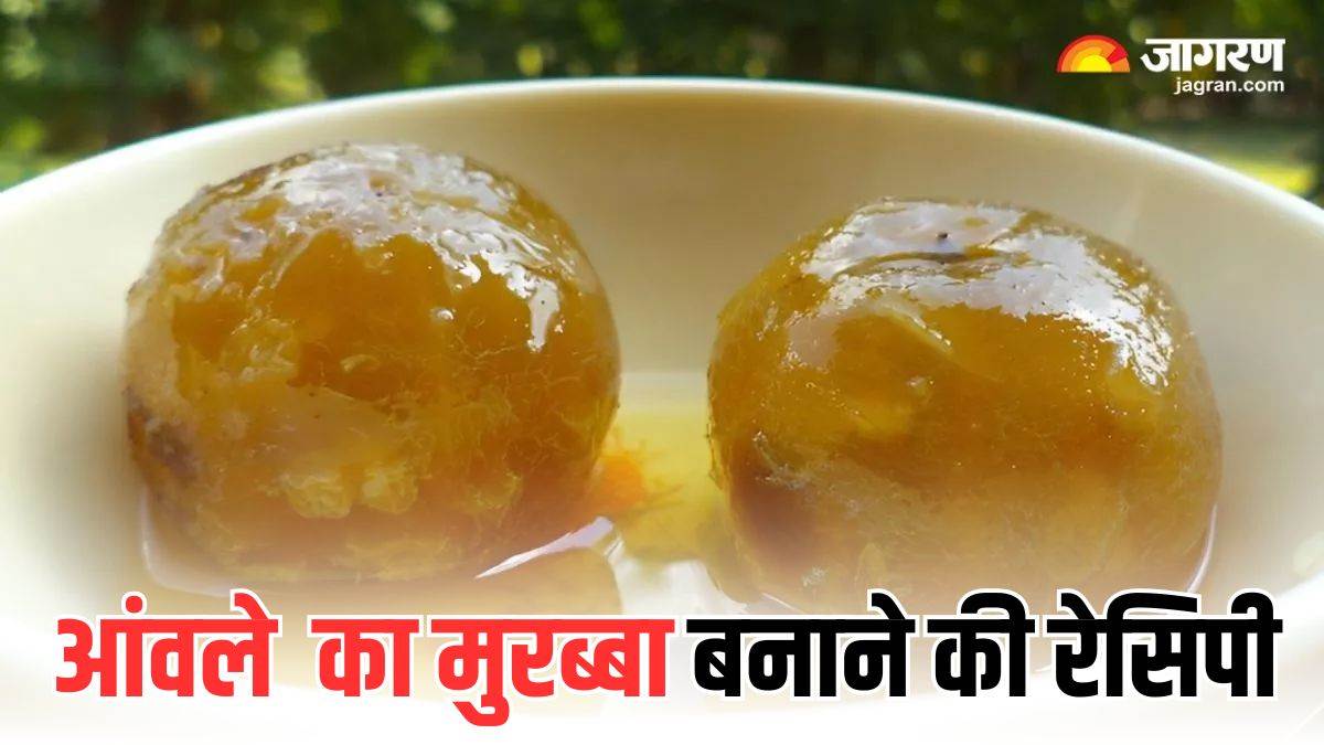 amla murabba will increase immunity in winter note down the easy recipe to make it