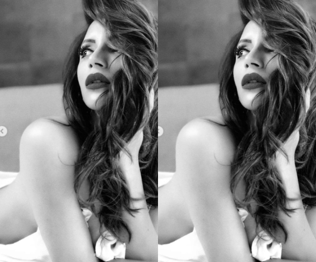 शमा सिंकदर ने करवाया टॉपलेस फोटोशूट, एक्ट्रेस की सेक्सी फोटोज़ वायरल  