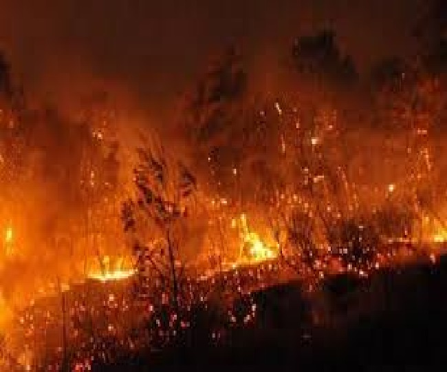 कैलिफोर्निया के जंगलों की आग में कम से कम 19 लोगों की मौत