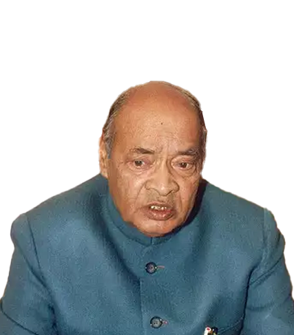 pv narasimha rao