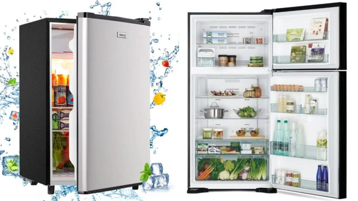 Single or Double Door, Which Refrigerator is Better