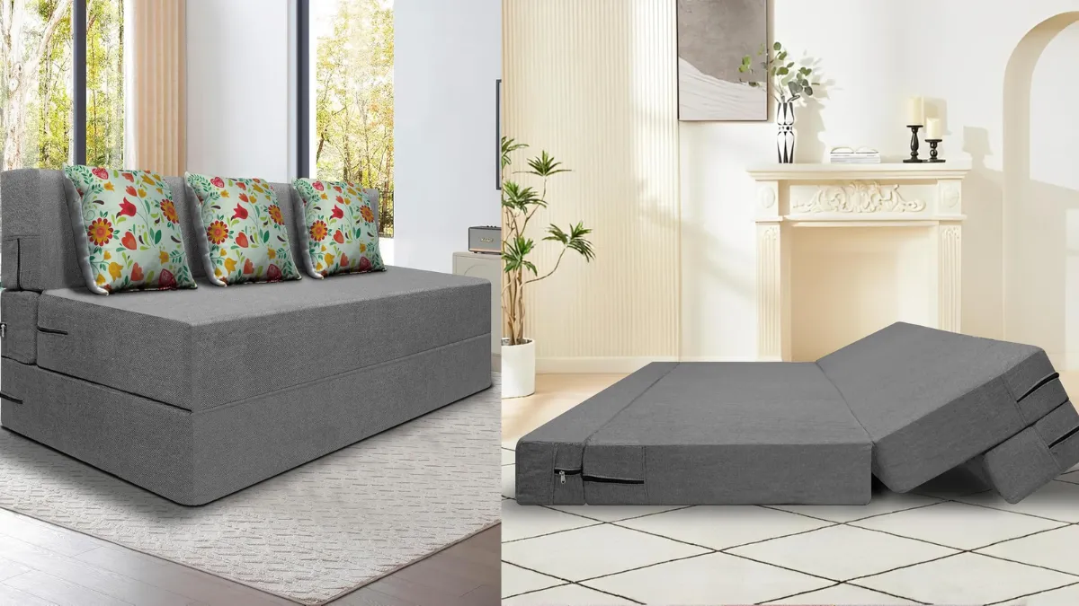मेहमानों के लिए Sofa Cum Bed