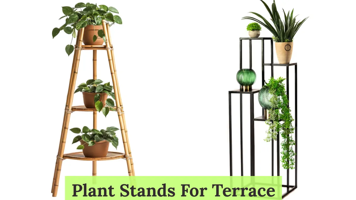 Plant Stand For Terrace