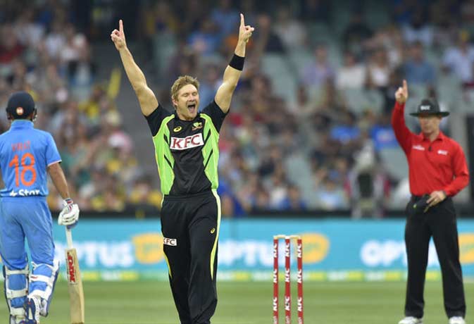 Ind vs Aus टी-20 में सबसे ज्यादा विकेट लेने वाला खिलाड़ी गेंदबाज नहीं बल्लेबाज है