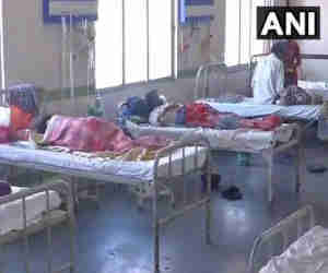स्वाइन फ्लू से राजस्थान में 1 महीने में 84 लोगों की माैत, हिमाचल में भी सामने आए 86 मामले