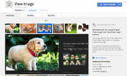 गूगल ने इमेज सर्च में हटाया था View Image फीचर, तो इस Chrome एक्टेंशन ने निकाल लिया उसका तोड़, ऐसे करेंगे यूज