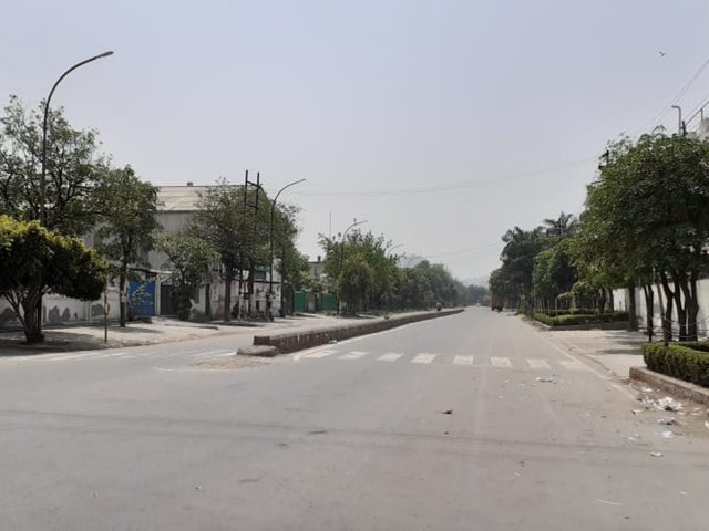 naidunia_image