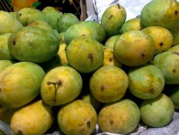 Types Of Indian Mangoes (Types Of Mangoes In Indian) 