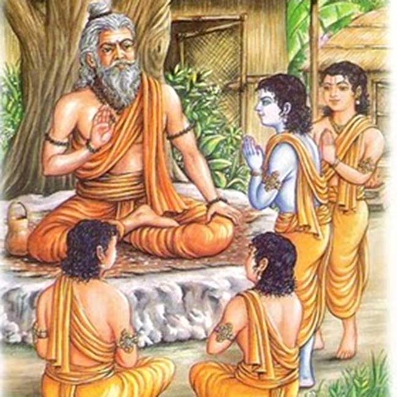 naidunia_image