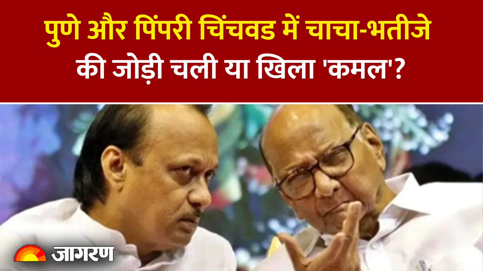 पुणे और पिंपरी चिंचवड़ में चाचा-भतीजे की जोड़ी चली या खिला 'कमल'? पढ़ें- कौन किस पर भारी