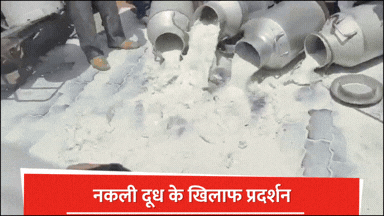 Thousands of liters of milk were spilled on the streets in Amritsar
