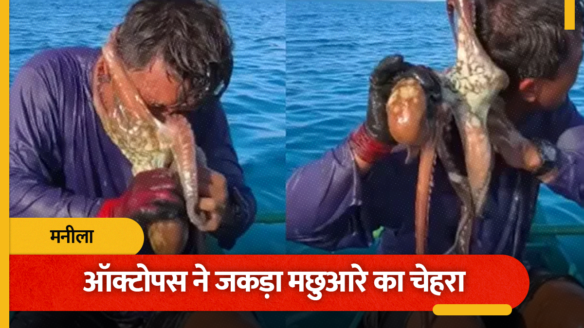 philippines fisherman fights off stubborn octopus attack