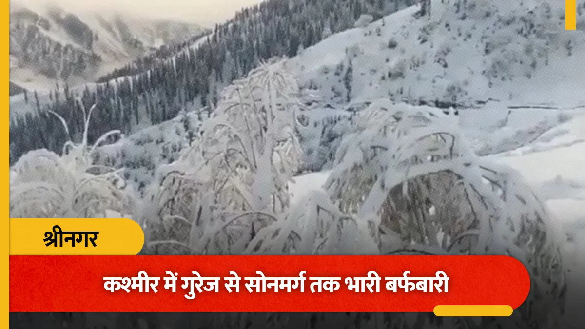 कश्मीर में गुरेज से सोनमर्ग तक भारी बर्फबारी, राजदान टॉप पर 5 इंच बर्फ जमी; जानें अगले 2 दिन कैसा रहेगा मौसम?