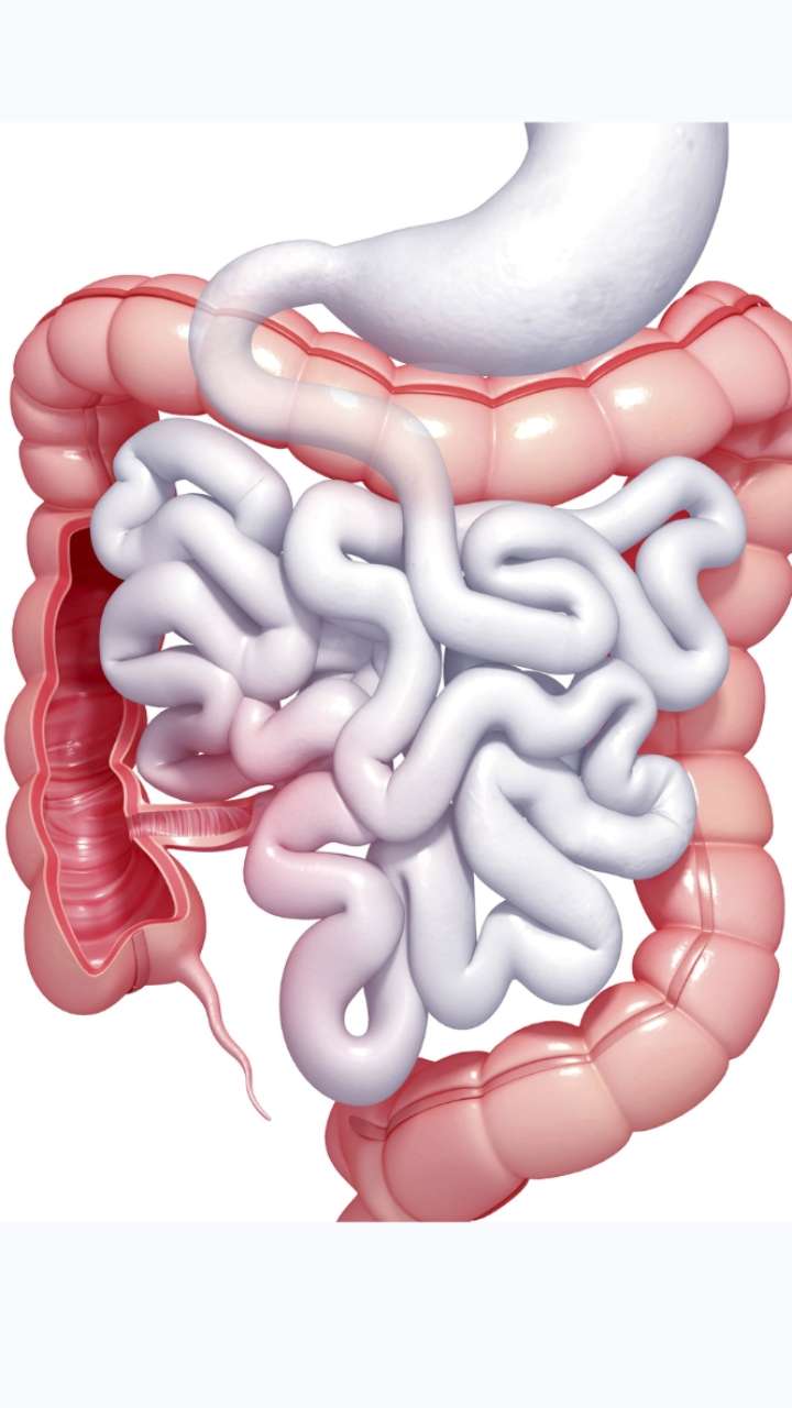आंतें खराब होने के ये संकेत न करें नजरअंदाज | symptoms of intestine ...