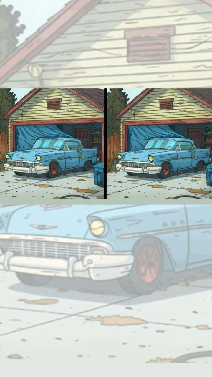 तस्वीर में छिपे तीन अंतर ढूंढें, कहलाएंगे जीनियस