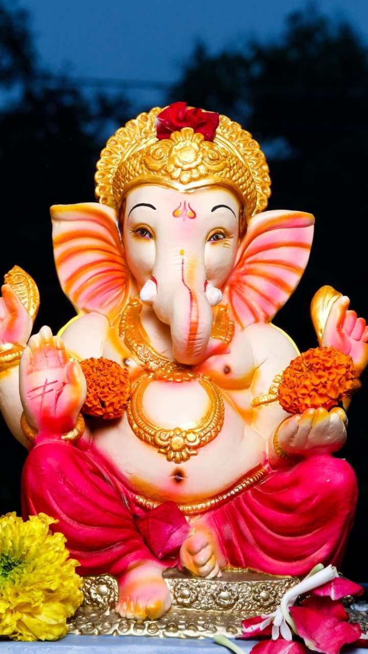 सकट चौथ व्रत पर भूल से भी न करें ये गलतियां