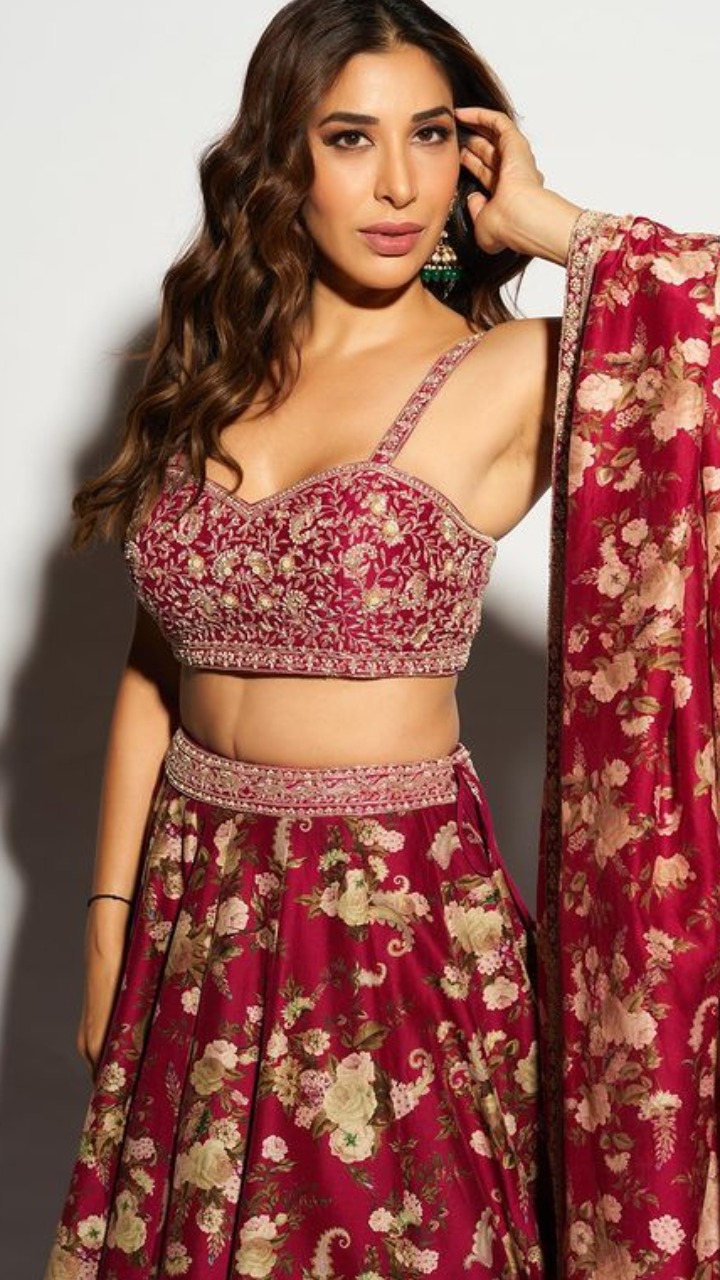 Sophie Choudry shares very hot and glamorous pics in lehenga