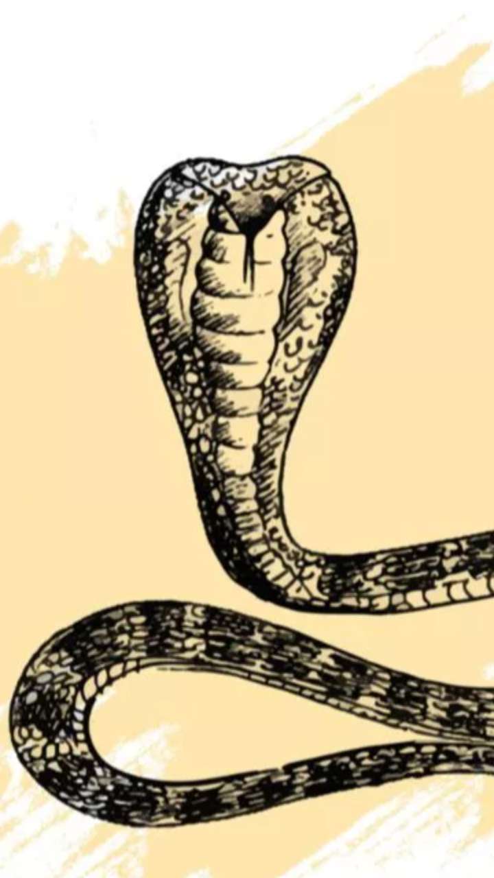 बेहद खतरनाक है काल सर्प दोष, जानिए संकेत