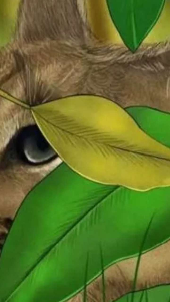 क्या तस्वीर में छुपा हमिंग बर्ड ढूंढ पाए आप?