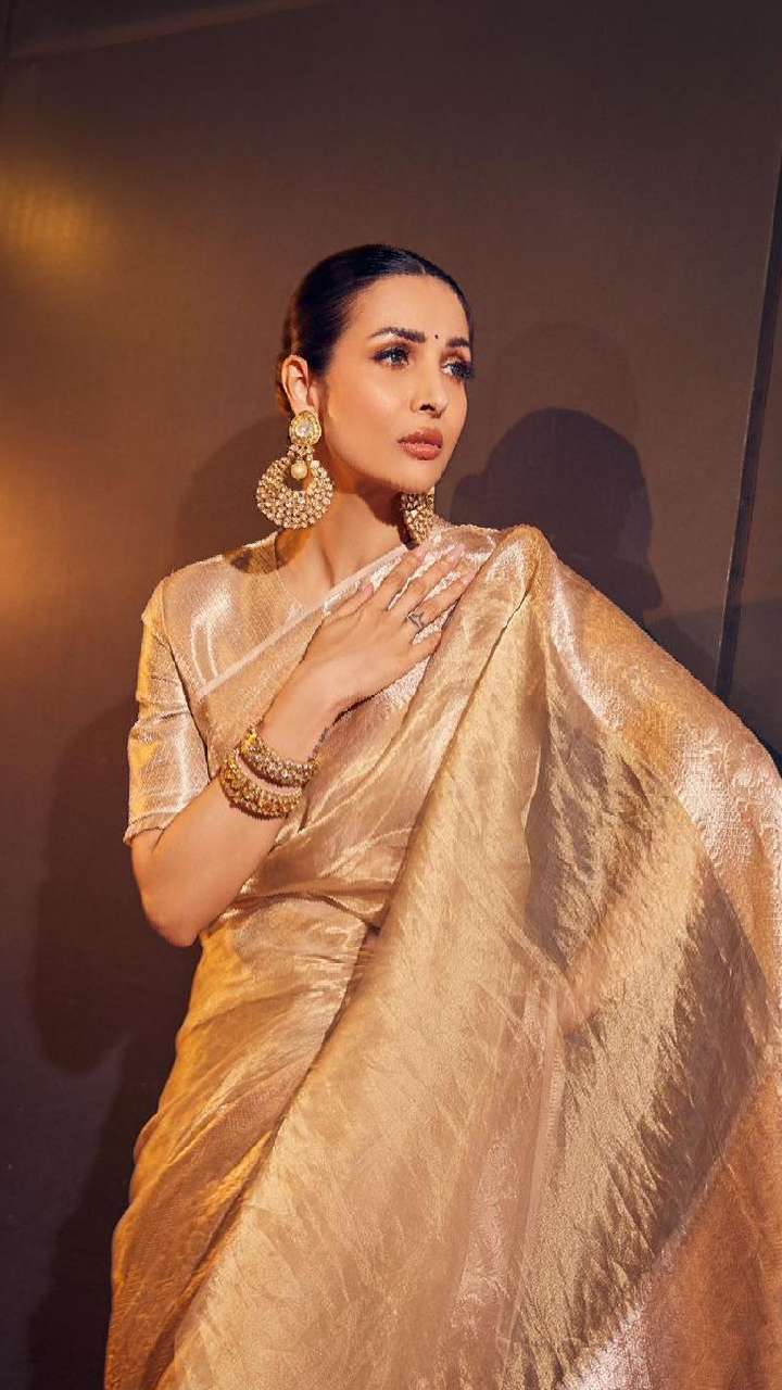 Preeta Arora Kundali Bhagya Dress | Wedding Gown Anarkali