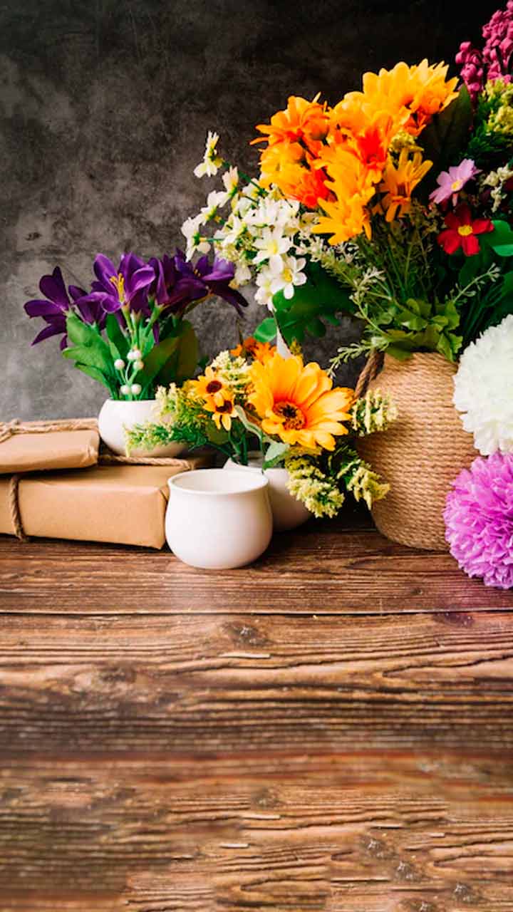 Vastu Tips: फूल के इन पौधों को घर में लगाने से आएगी खुशहाली और तरक्की