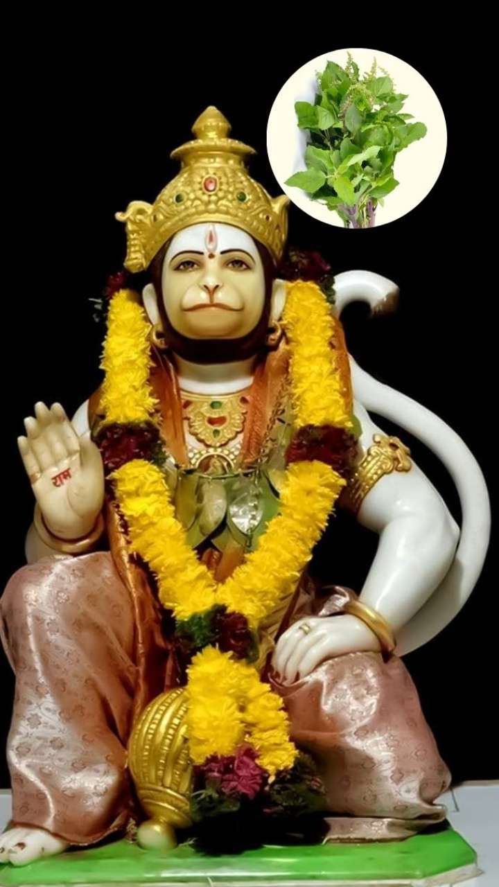 Hanuman Jayanti: तुलसी के इन उपायों से होगी धन की वर्षा
