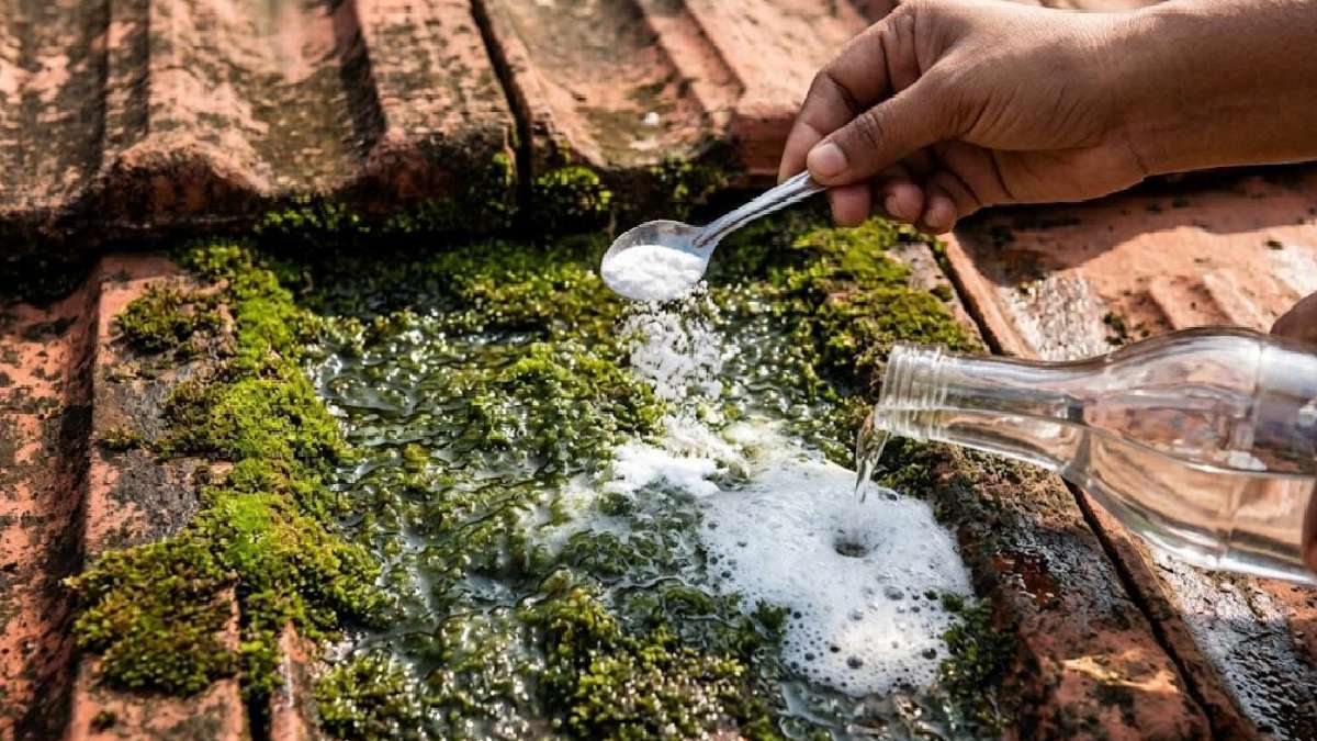 बेकिंग सोडा और सिरके का घोल