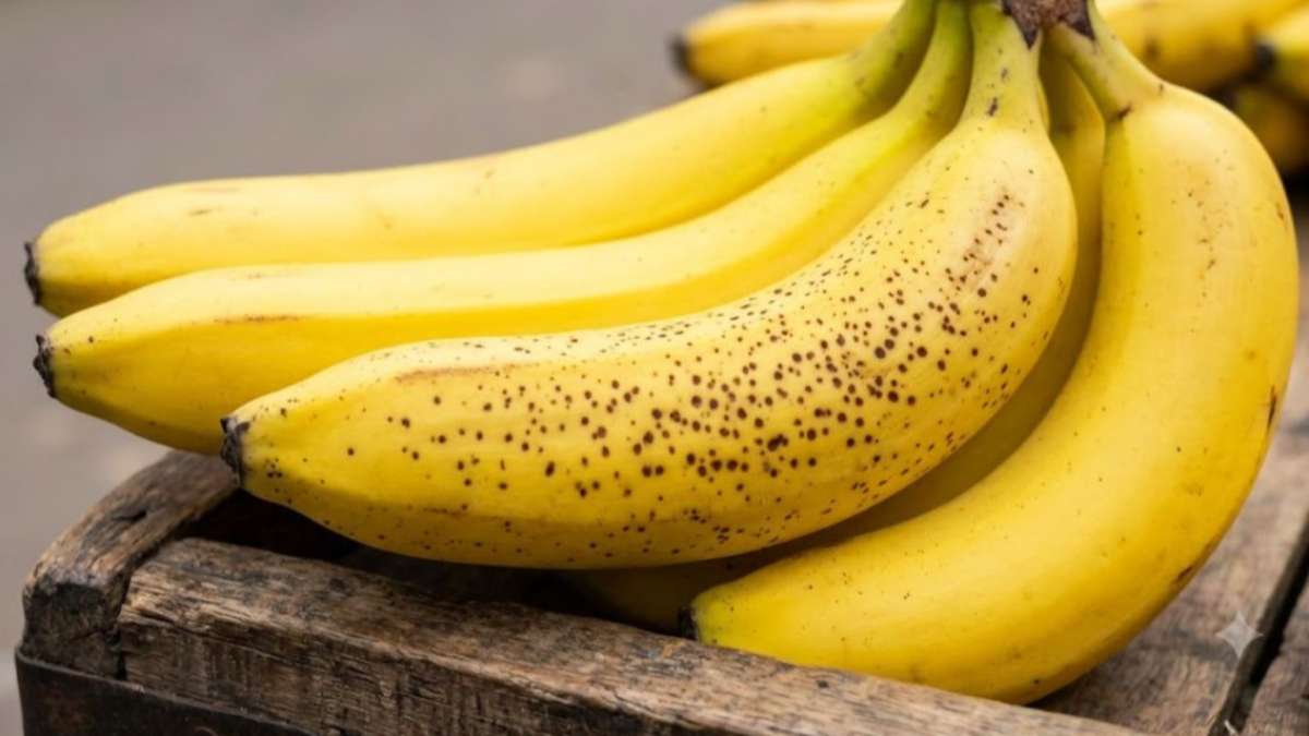 पका समझकर कहीं आप भी तो नहीं खरीद लेते हैं कच्चा केला? 5 आसान तरीकों से करें पहचान पका समझकर कहीं आप भी तो नहीं खरीद लेते हैं कच्चा केला? 5 आसान तरीकों से करें पहचान