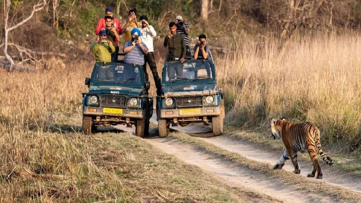 जिम कॉर्बेट टाइगर रिजर्व, उत्तराखंड