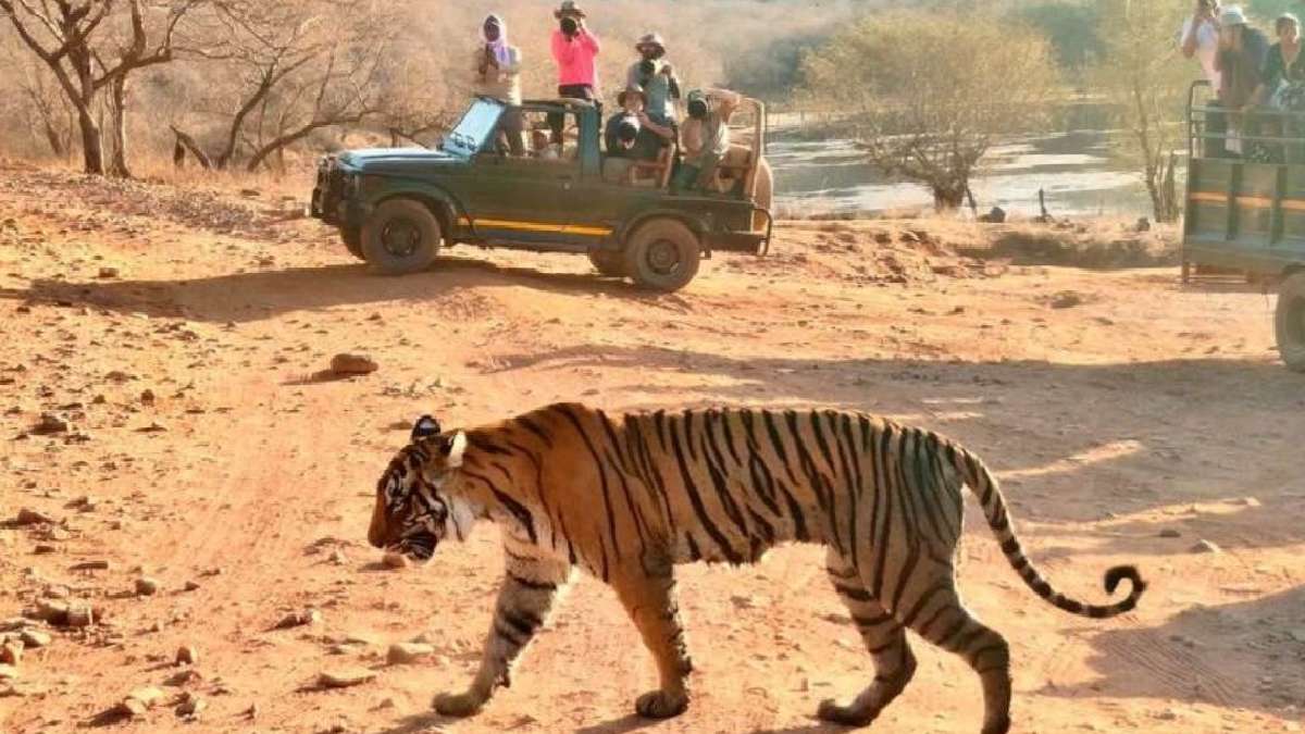 रणथंभौर टाइगर रिजर्व, राजस्थान
